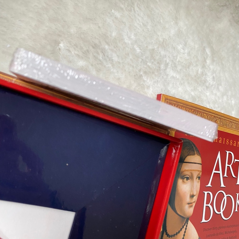 The Renaissance Art Game - Picture 6 of 12